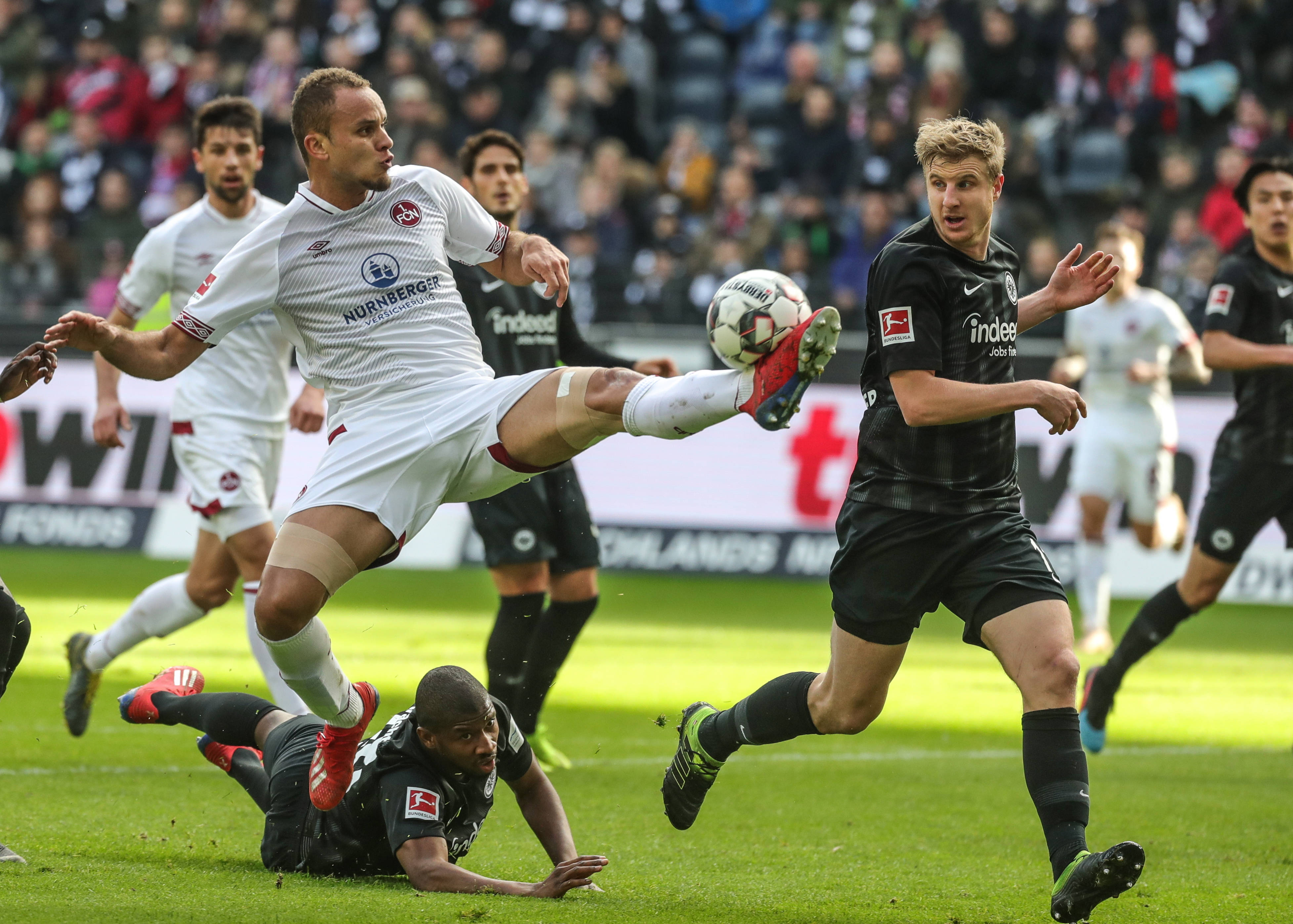 哈利伯顿的 哈利伯顿的