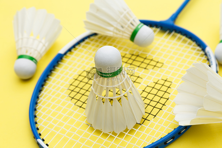 丹佛掘金团 丹佛掘金团